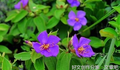 一念之善，吉神随之