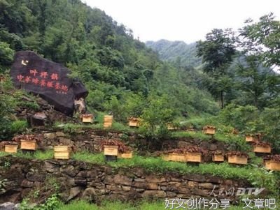 借鸡下蛋，借脑生财