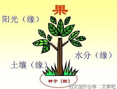 因果规律及其作用