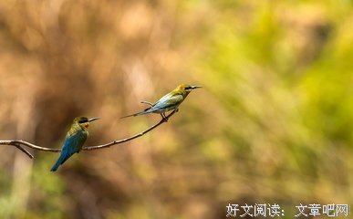 我要离开你