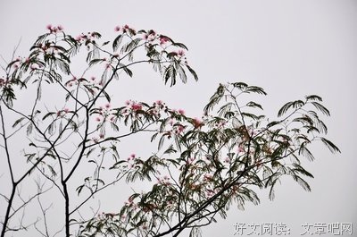 随心随想
