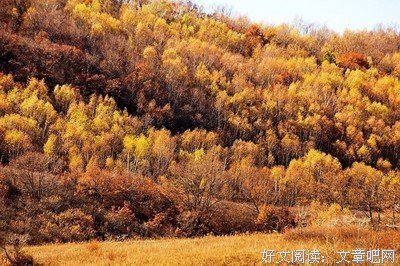 说点高兴的事情