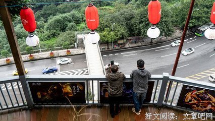 长情的告白