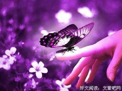 请用善良温暖你的余生