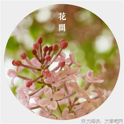 尘世的牵绊