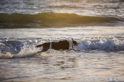 你是这样的孤独吗