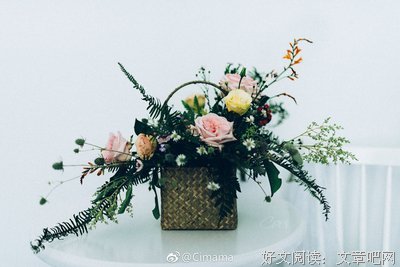 鲜花和面包