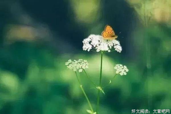 成熟，从接受身边的人比自己优秀开始