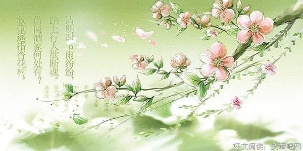清明节到了，你在思念谁？