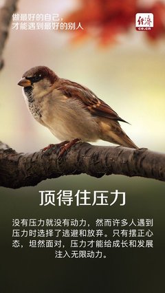 想要遇到最好的别人，先做最好的自己