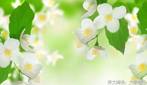 教育让人幸福