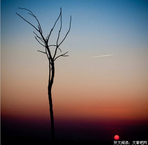 儿童成长的节律