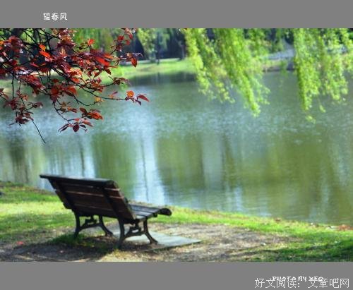 吹面不寒杨柳风