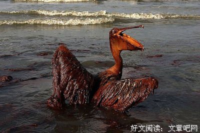 环境制约教育发展——《山海情》观后感