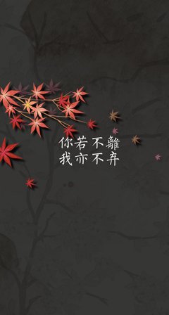 怎叹那山有木兮木有枝，心悦君兮君不知