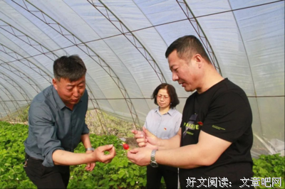  固本开新再接厉
