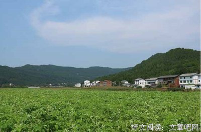  拉长农业生产链条 构筑莲藕产业闭环