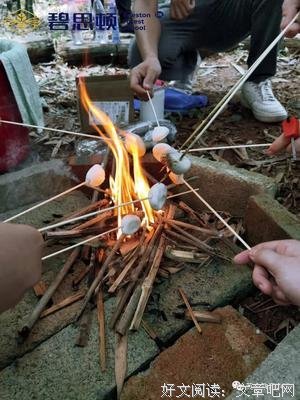自然诞生的生命现象