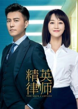 立新时代潮头 展涉外律师风采