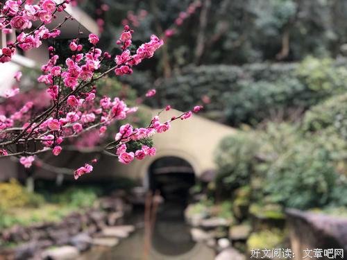 花香浮华，只在记忆里最美
