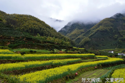 步步清风，再无你