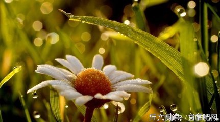 遇见对的人，时间晚了也没有关系
