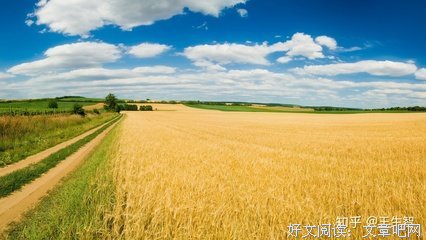 这该死的执念，放下吧