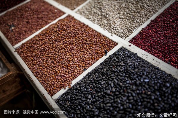 种子遇见春天会发芽