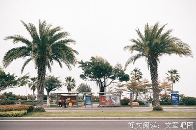 自知退场，不再打扰