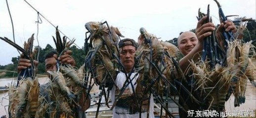 为什么劝你不要跟老男人谈情说爱？