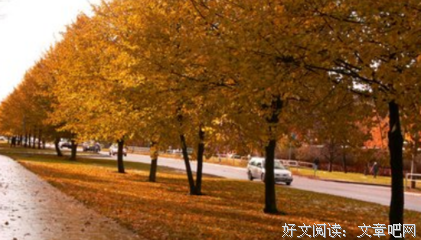 他慢慢走入我的视线