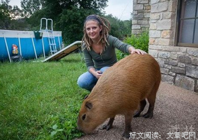 命理运势和环境运势的关系