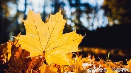 望您穿对五行色，轻松顺利每一天