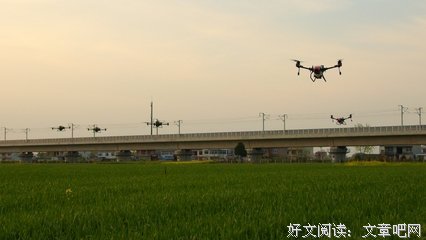 因为能依靠的也从来只有我自己