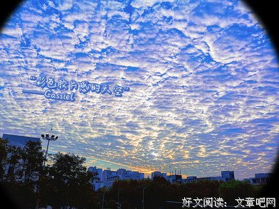 每个人都有属于自己的一片森林