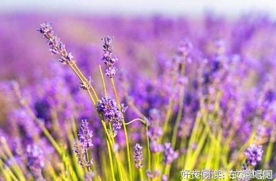 能忘记的不是爱，是过客