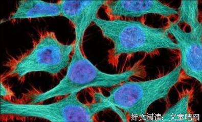 人不可能永远端着