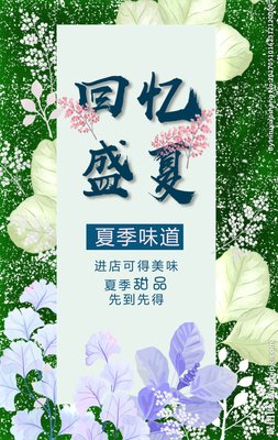 回忆的夏天
