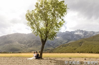 他们的相遇很奇妙