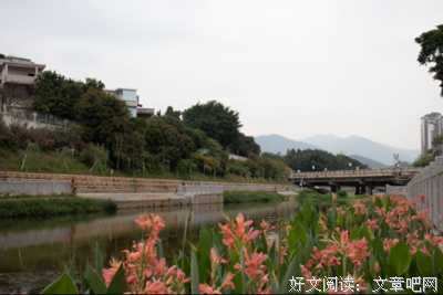 周末时光在花香里流逝