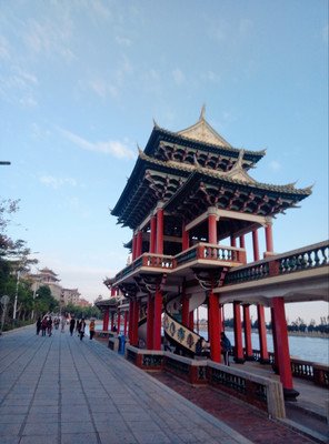 我很喜欢蒲公英