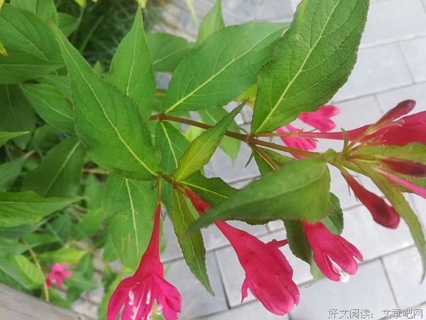 不念过去，畏将来，好好当下！
