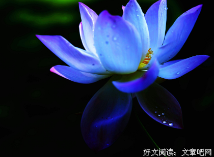 无论何时，你都应有一种“边界感”