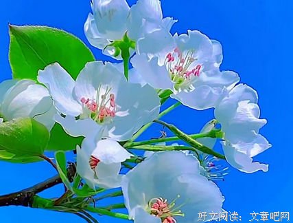 每时每刻皆有意义