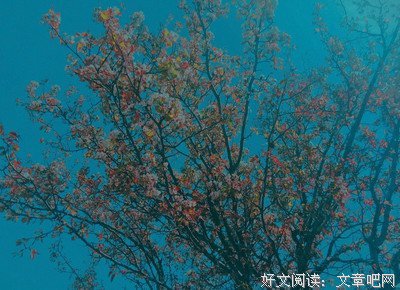 愿你在我看不见的地方“安然无恙”