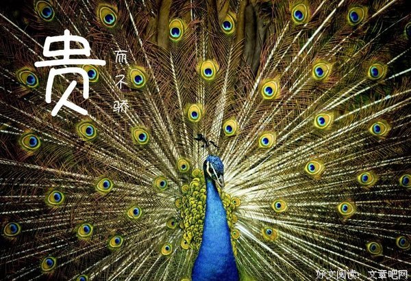 不与草争长短，莫与树比高低
