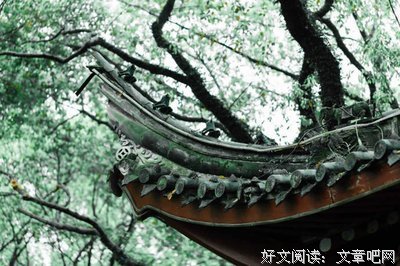 冬日里的一片落叶