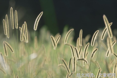 当有人说你“傻时”？