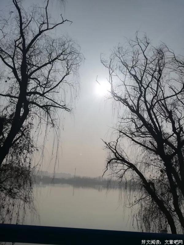 观景之心