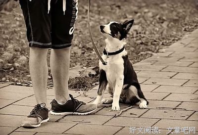 不想理解你